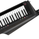 KORG KEYBOARD RK-100S 2 BK