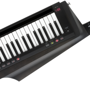 KORG KEYBOARD RK-100S 2 BK